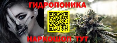 индика Ливны