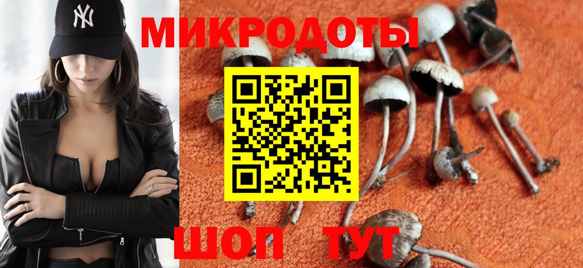 Галлюциногенные грибы мицелий Калач-на-Дону