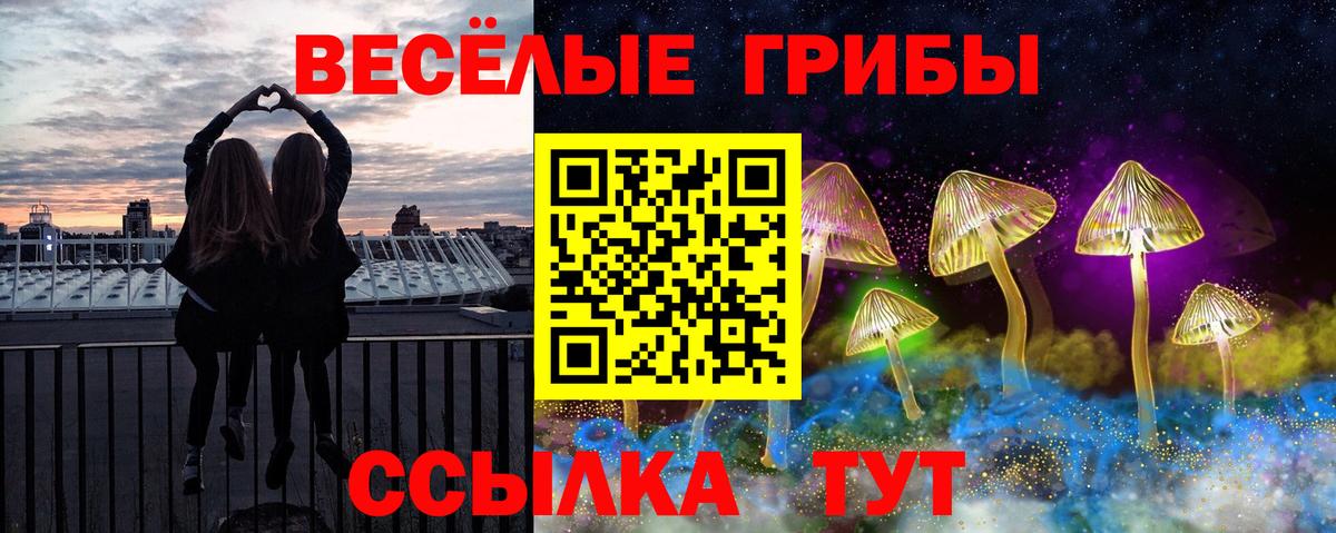 Псилоцибиновые грибы GOLDEN TEACHER  Галлюциногенные грибы Magic Shrooms  Калач-на-Дону  Вход с VPN 